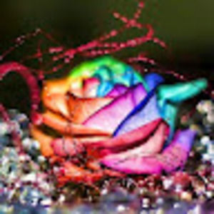 Meet your Posher, Isabel